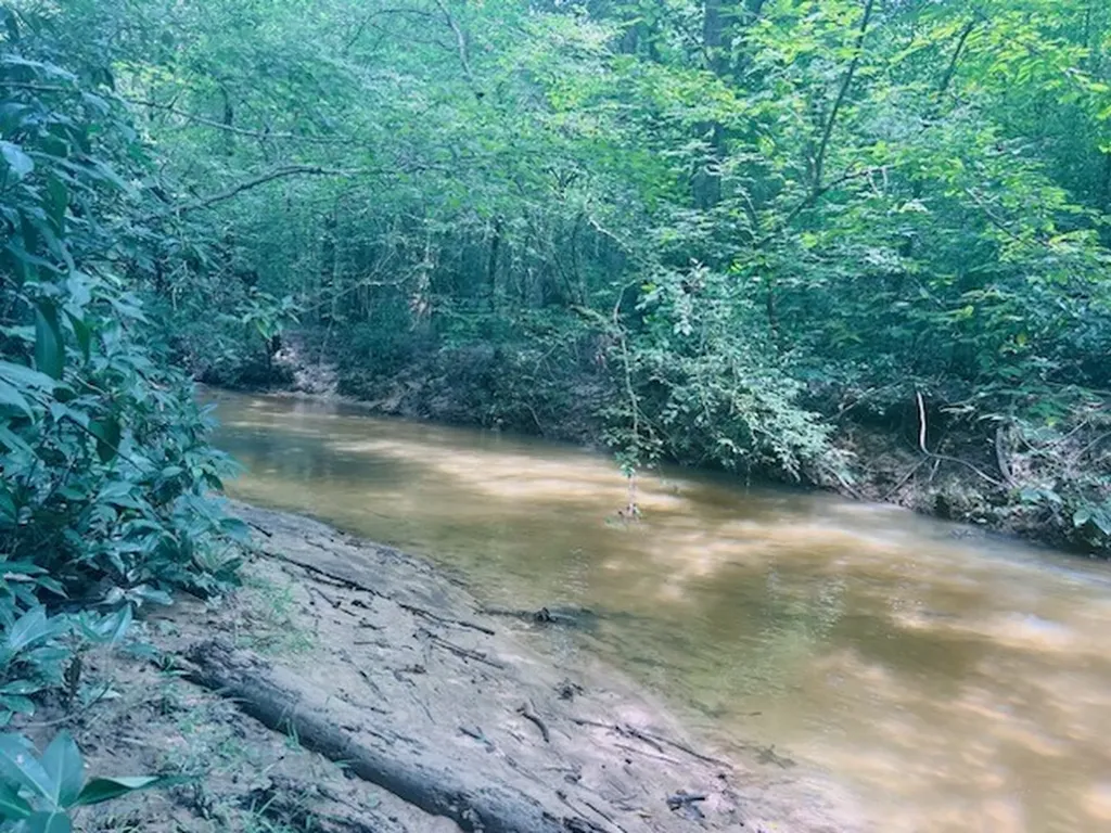 11 Lee Road 138 Opelika AL 36804