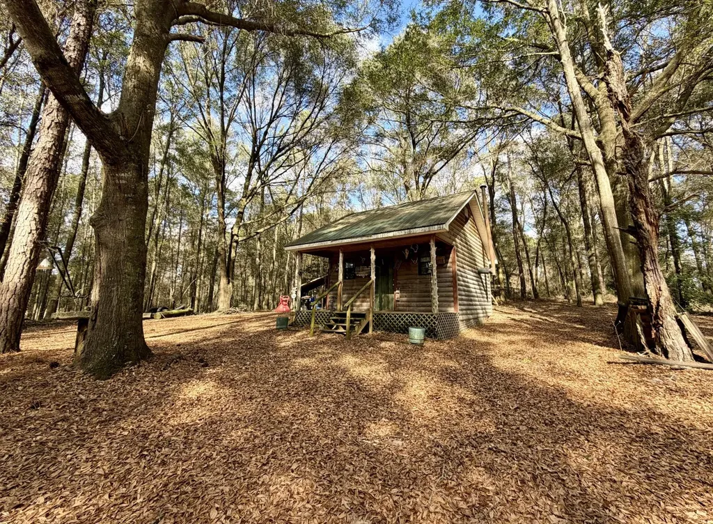 0 County Road 72 Ariton AL 36311