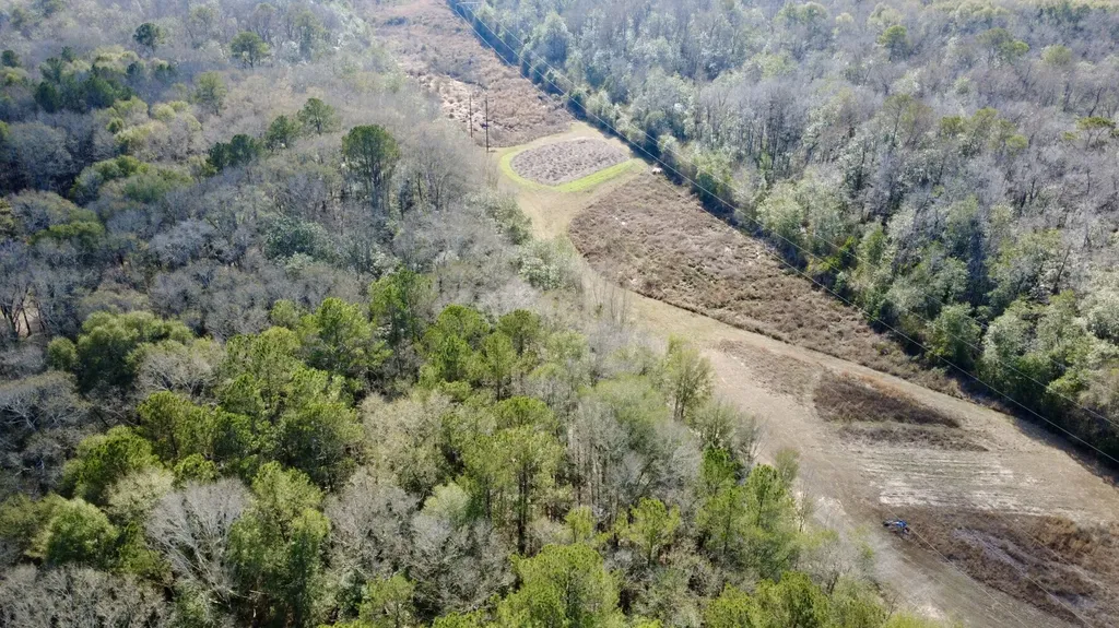 0 County Road 72 Ariton AL 36311