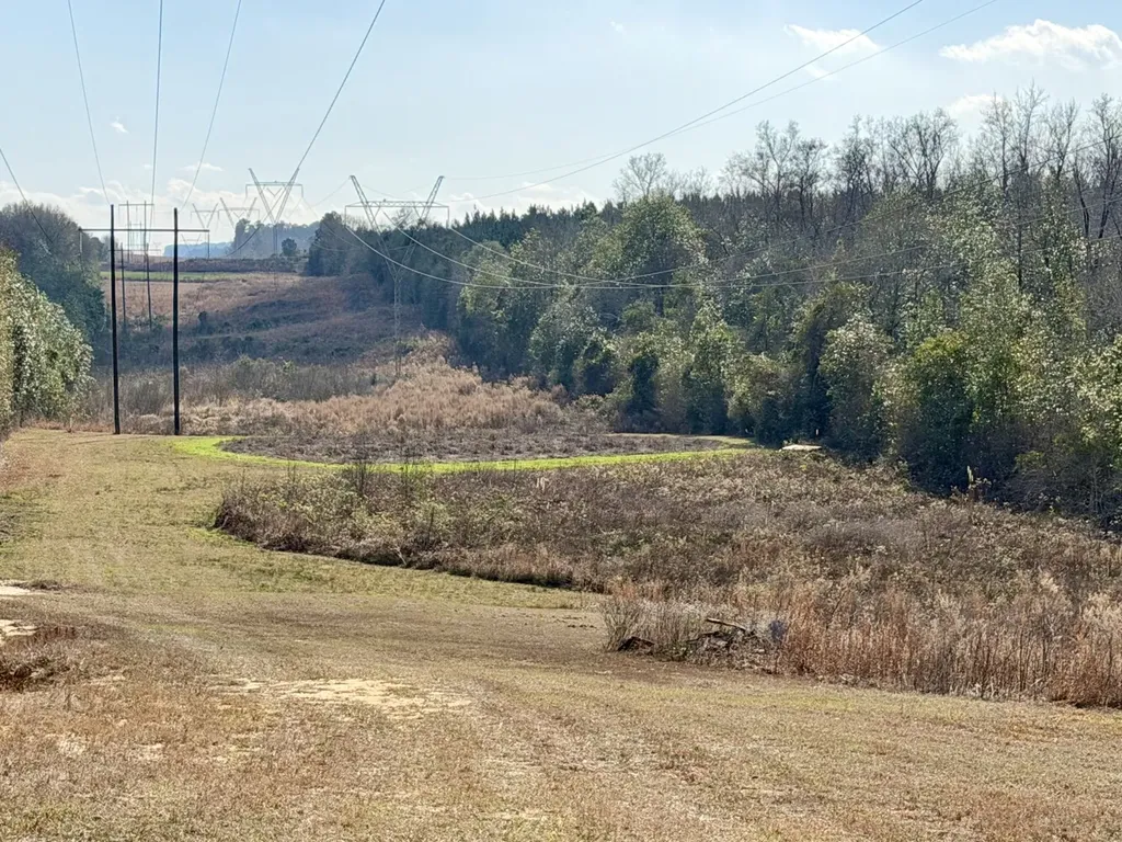 0 County Road 72 Ariton AL 36311