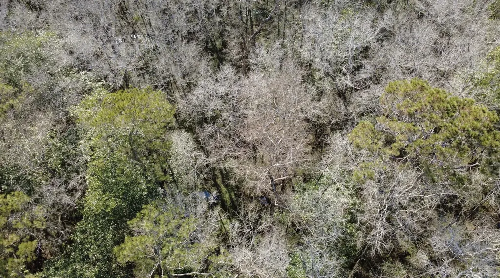 0 County Road 72 Ariton AL 36311