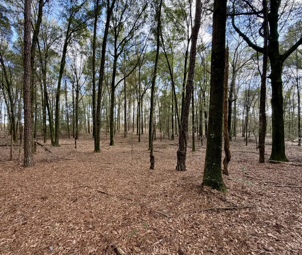 0 County Road 72 Ariton AL 36311