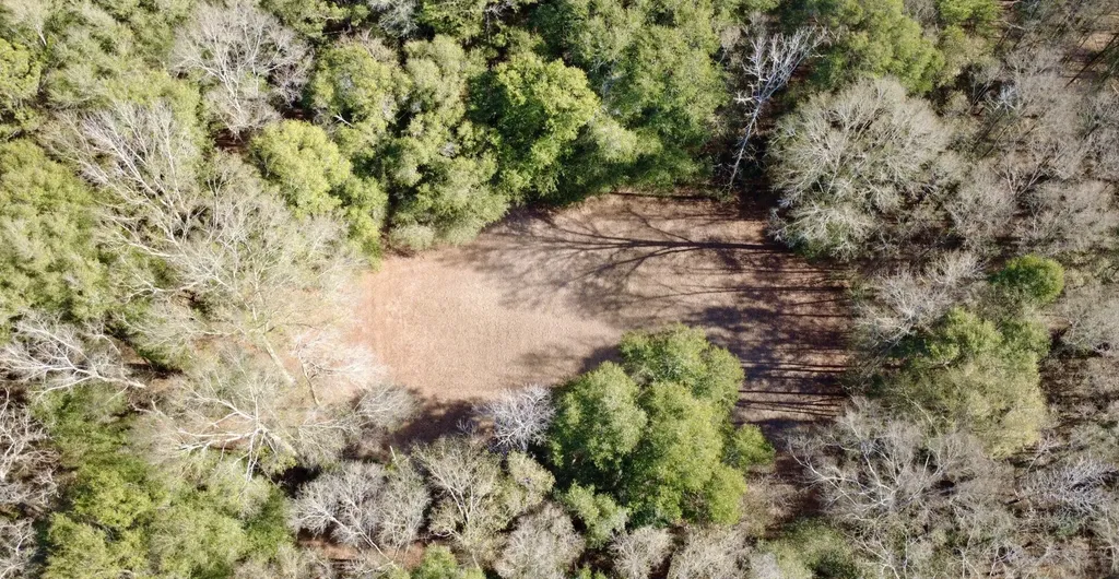 0 County Road 72 Ariton AL 36311