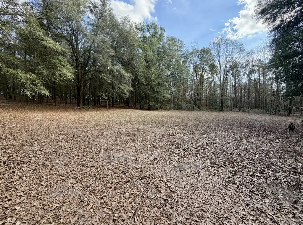 0 County Road 72 Ariton AL 36311