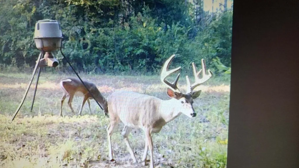 0 County Road 72 Ariton AL 36311