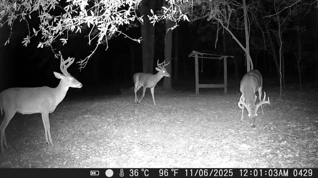 0 County Road 72 Ariton AL 36311