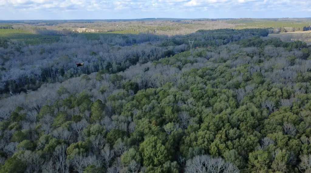 0 County Road 72 Ariton AL 36311