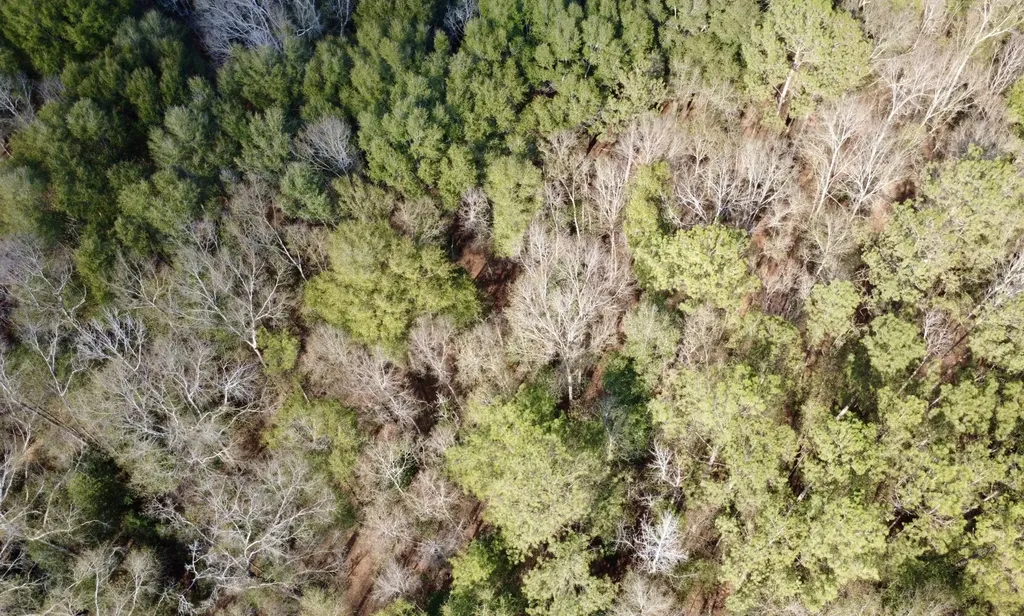 0 County Road 72 Ariton AL 36311