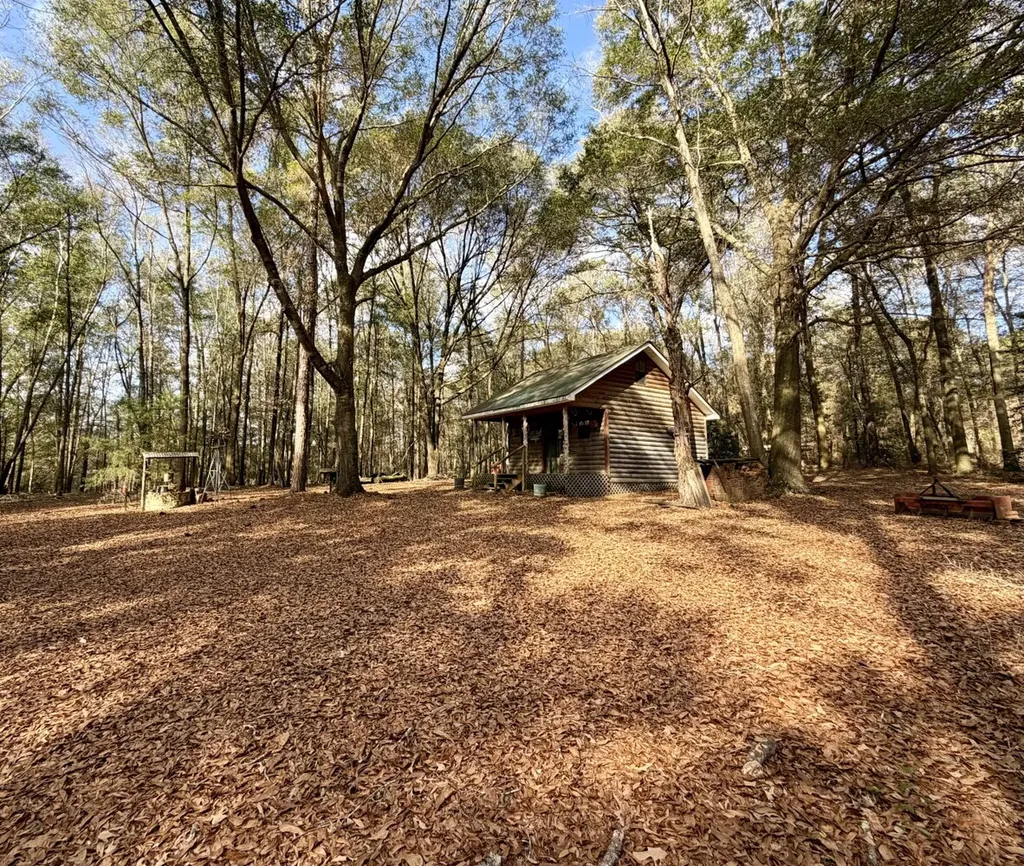 0 County Road 72 Ariton AL 36311