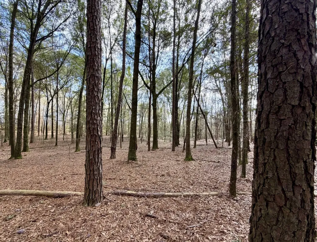 0 County Road 72 Ariton AL 36311