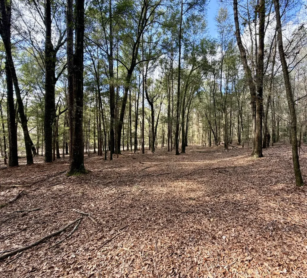 0 County Road 72 Ariton AL 36311