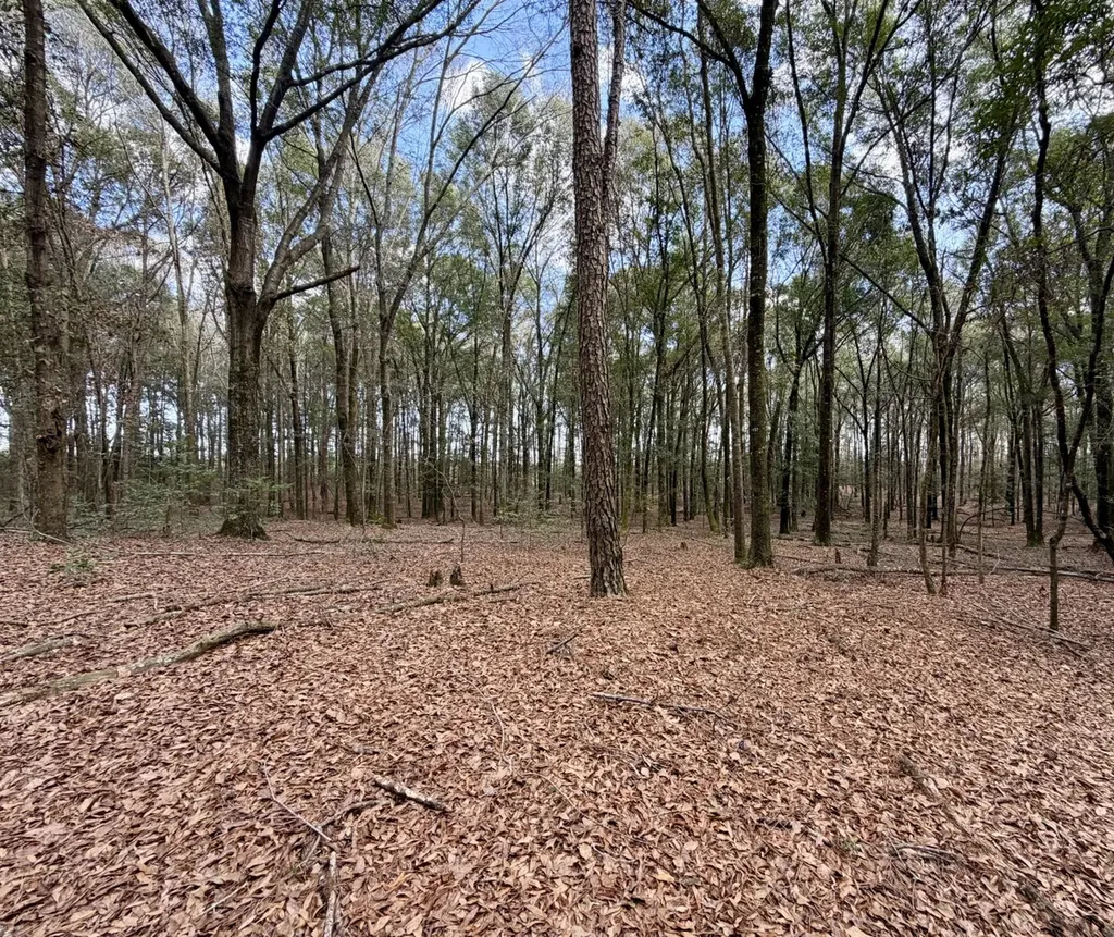 0 County Road 72 Ariton AL 36311