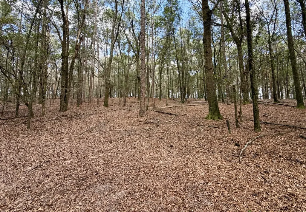 0 County Road 72 Ariton AL 36311