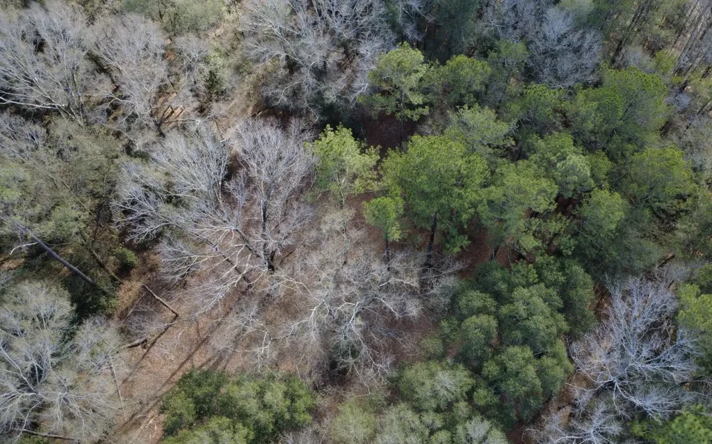 0 County Road 72 Ariton AL 36311