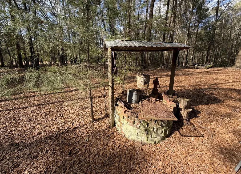 0 County Road 72 Ariton AL 36311