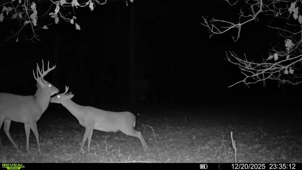 0 County Road 72 Ariton AL 36311