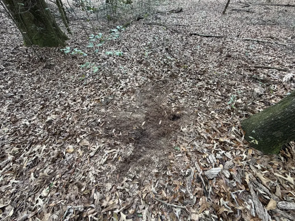 0 County Road 72 Ariton AL 36311