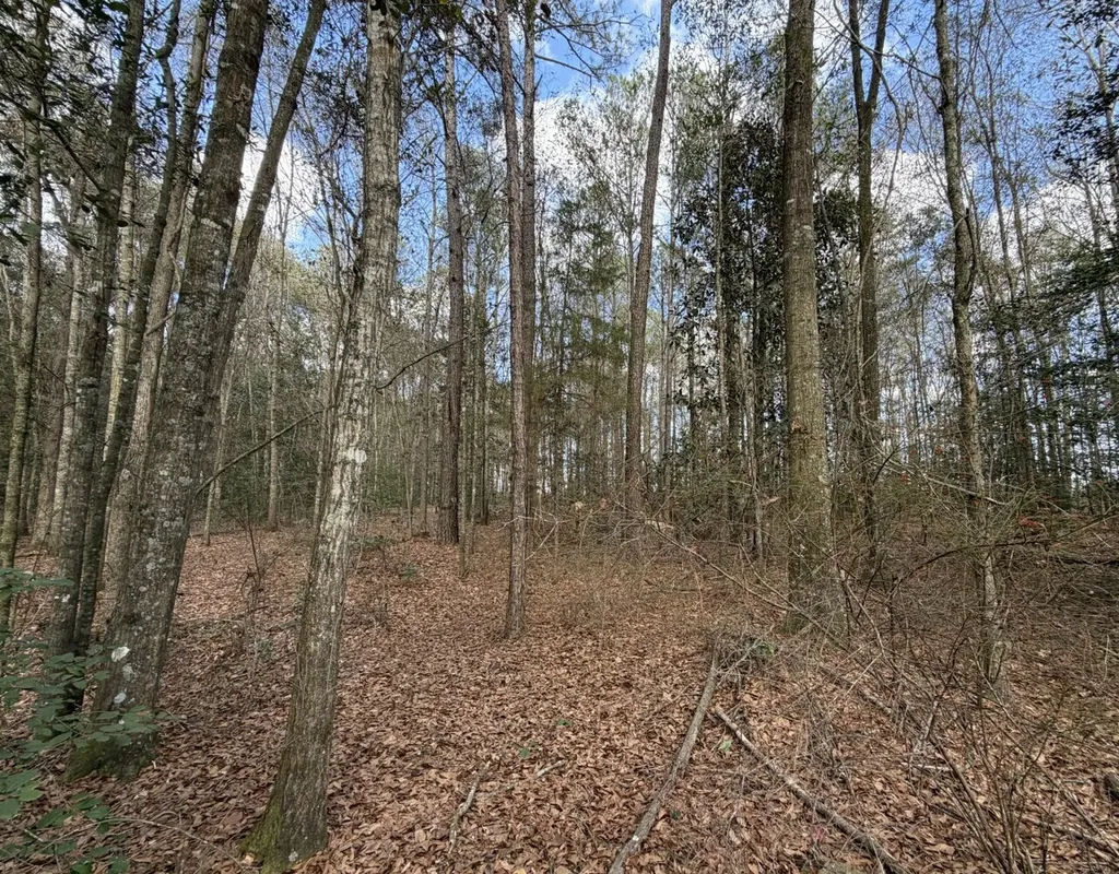 0 County Road 72 Ariton AL 36311