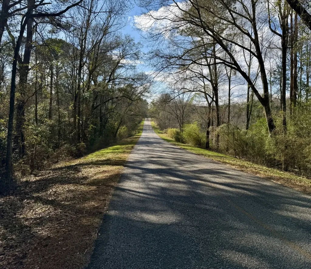 0 County Road 72 Ariton AL 36311