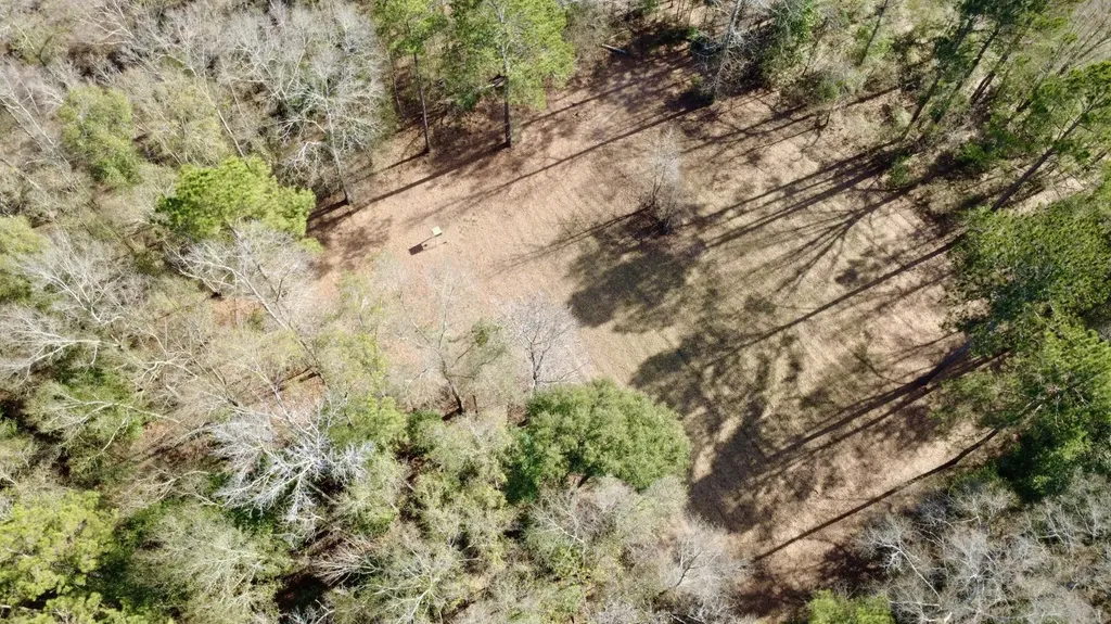 0 County Road 72 Ariton AL 36311