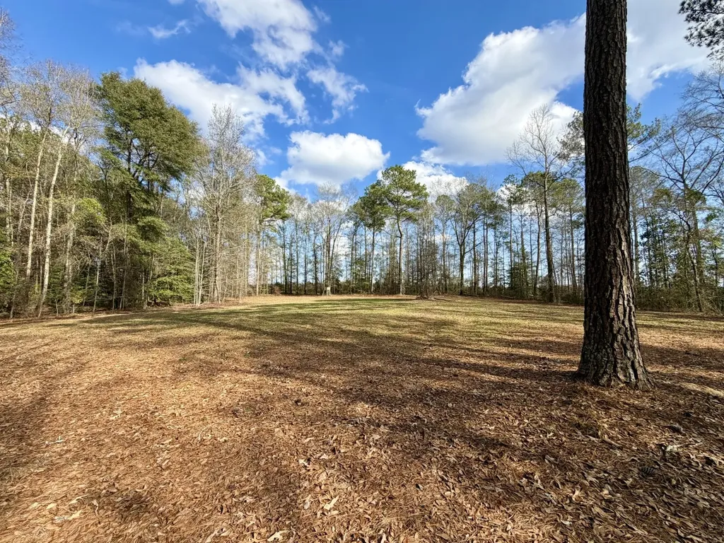 0 County Road 72 Ariton AL 36311