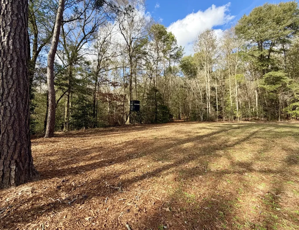 0 County Road 72 Ariton AL 36311