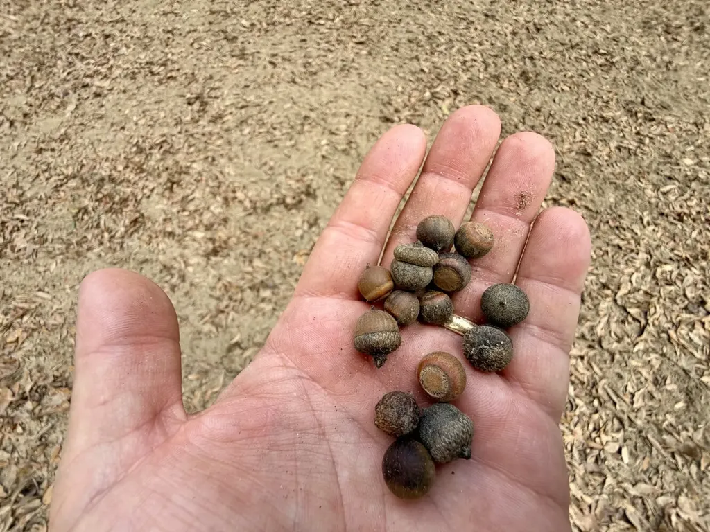 0 County Road 72 Ariton AL 36311