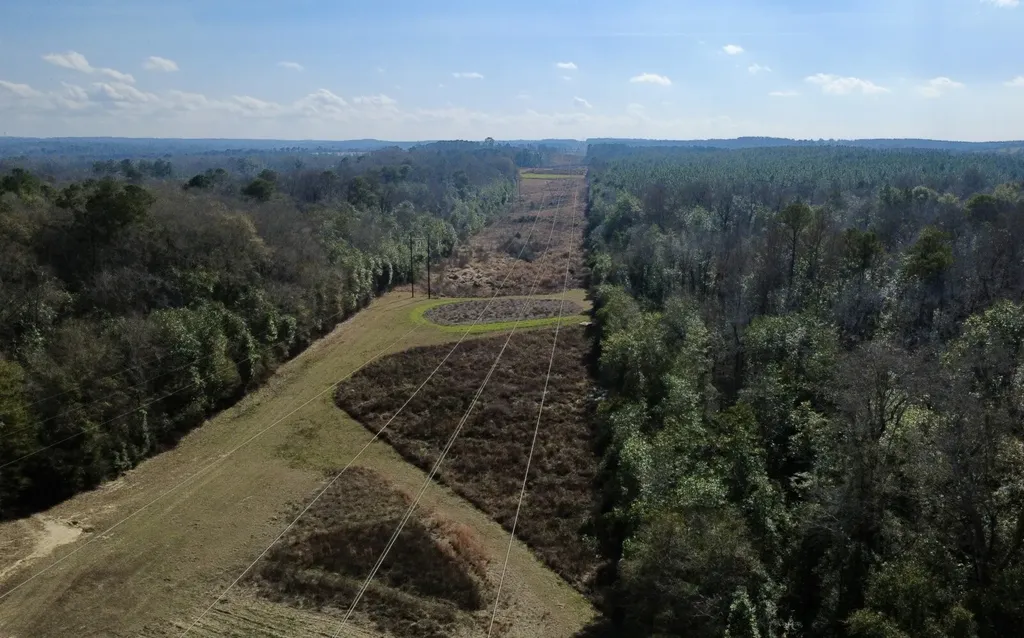 0 County Road 72 Ariton AL 36311