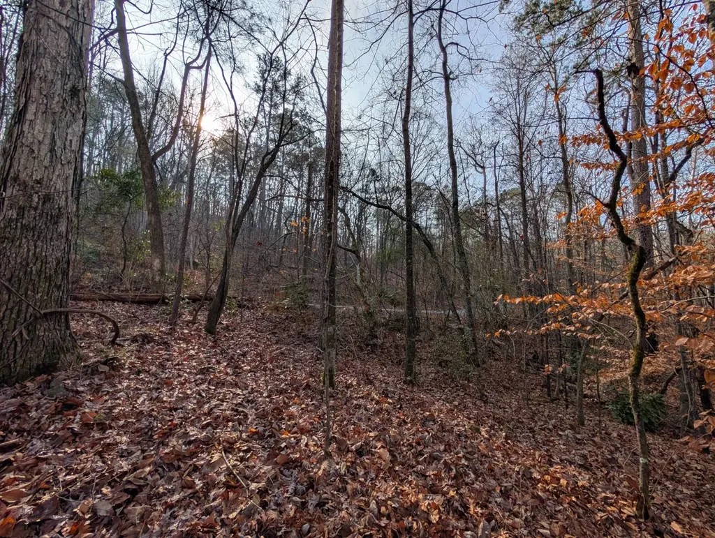 0 Greenbriar Road Gadsden AL 35901