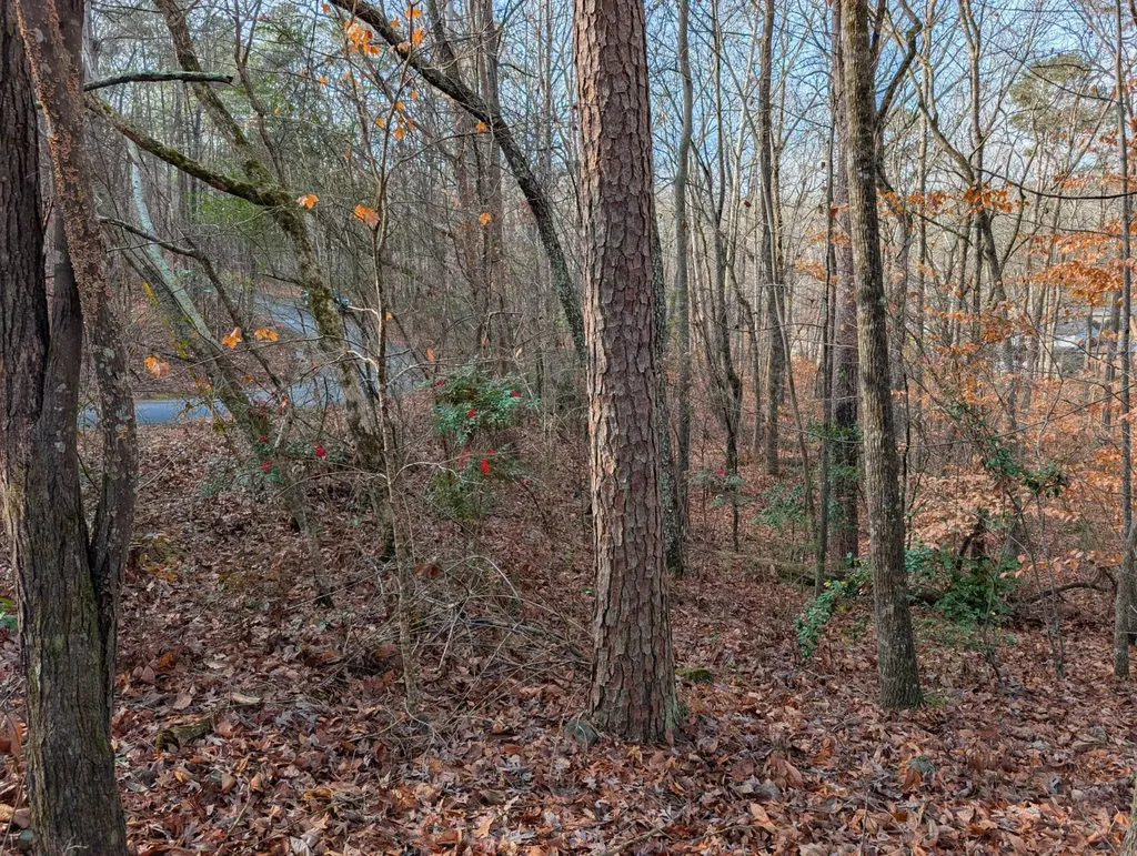 0 Greenbriar Road Gadsden AL 35901