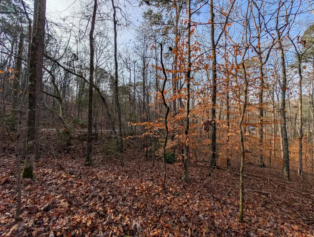 0 Greenbriar Road Gadsden AL 35901