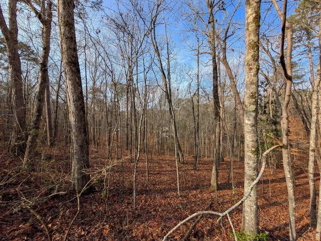 0 Greenbriar Road Gadsden AL 35901