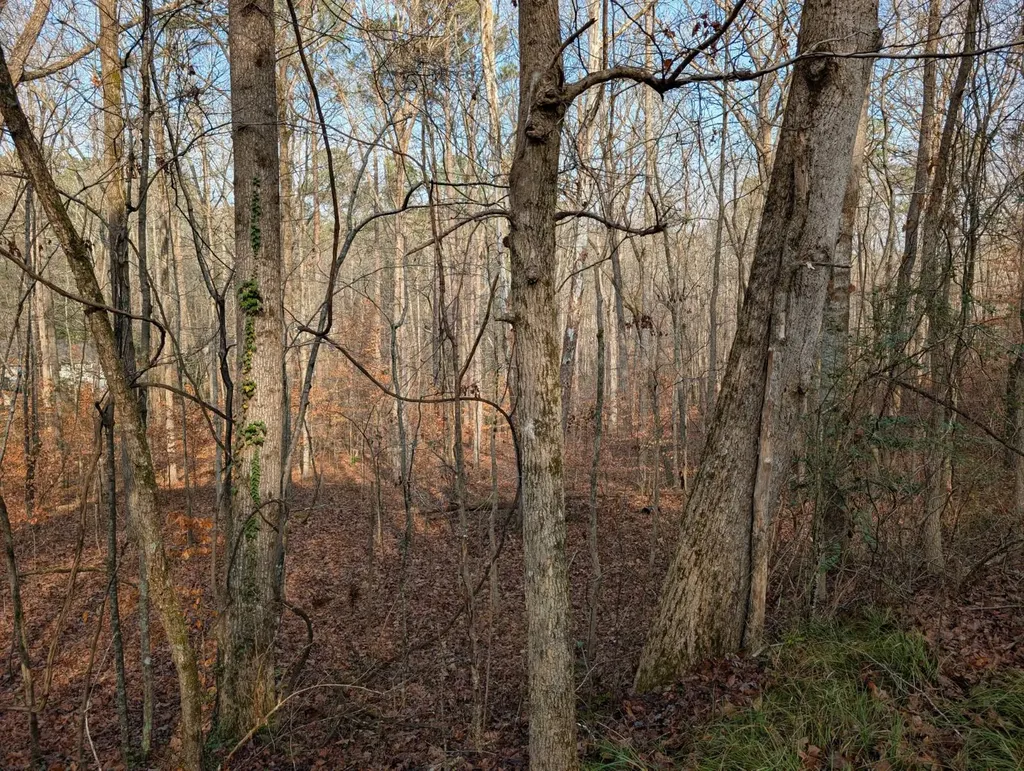 0 Greenbriar Road Gadsden AL 35901