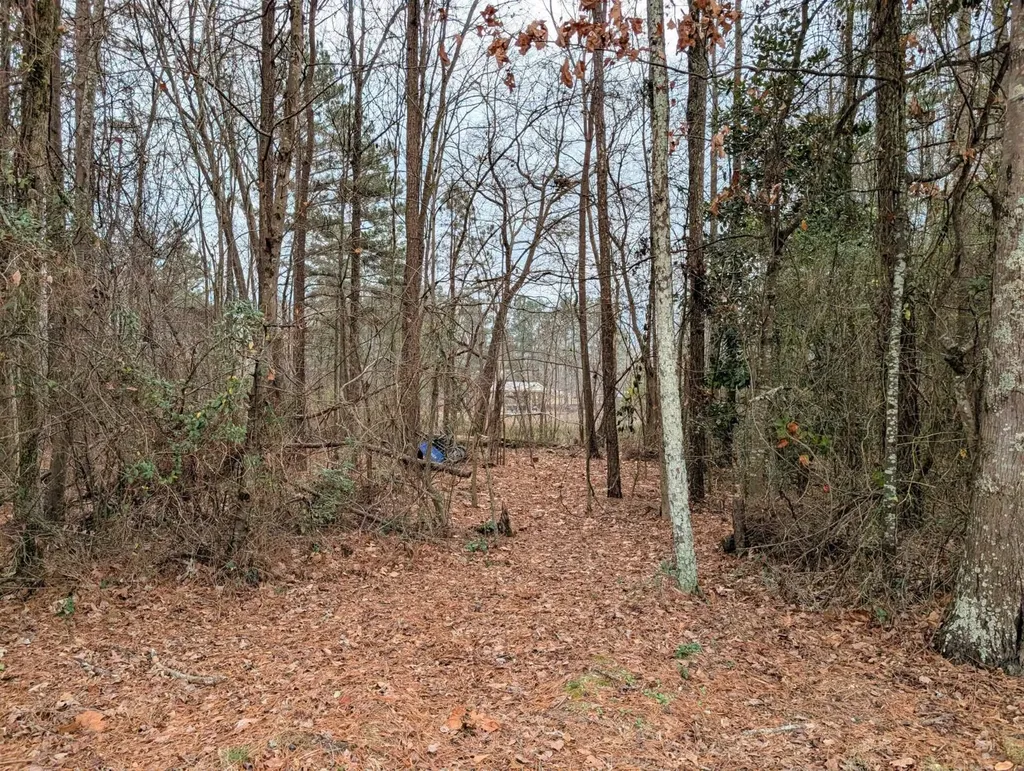 0 Bridgepoint Road Southside AL 35907