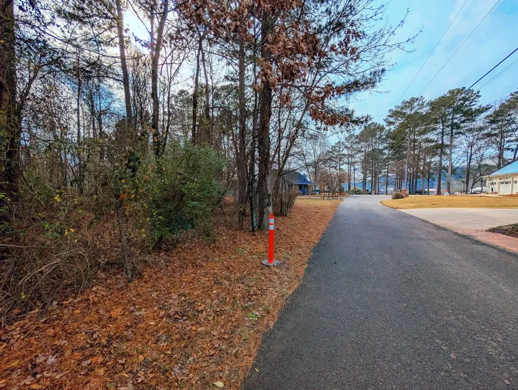 0 Bridgepoint Road Southside AL 35907