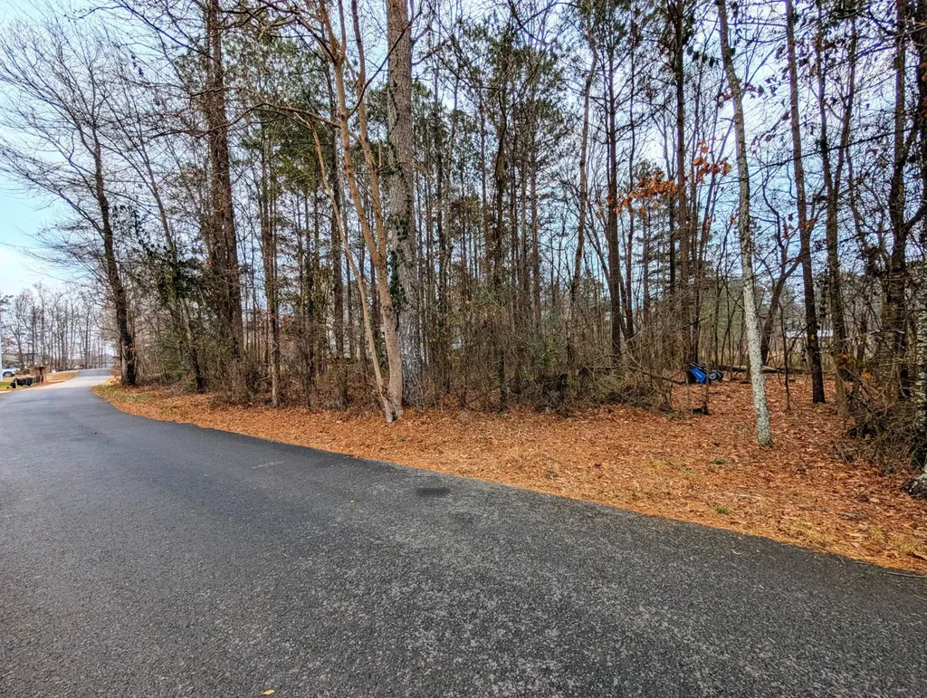 0 Bridgepoint Road Southside AL 35907