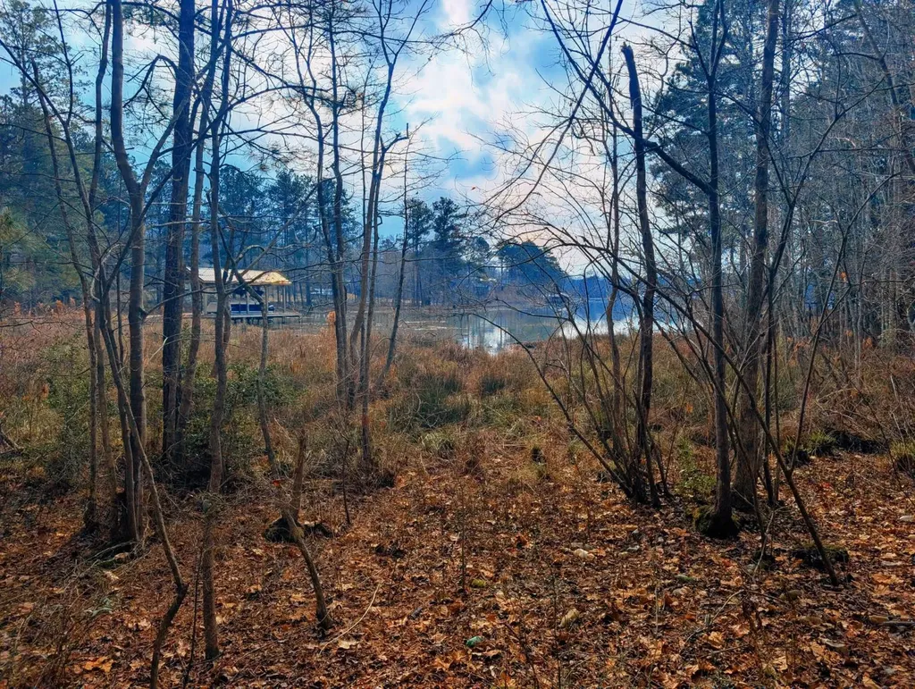 0 Bridgepoint Road Southside AL 35907