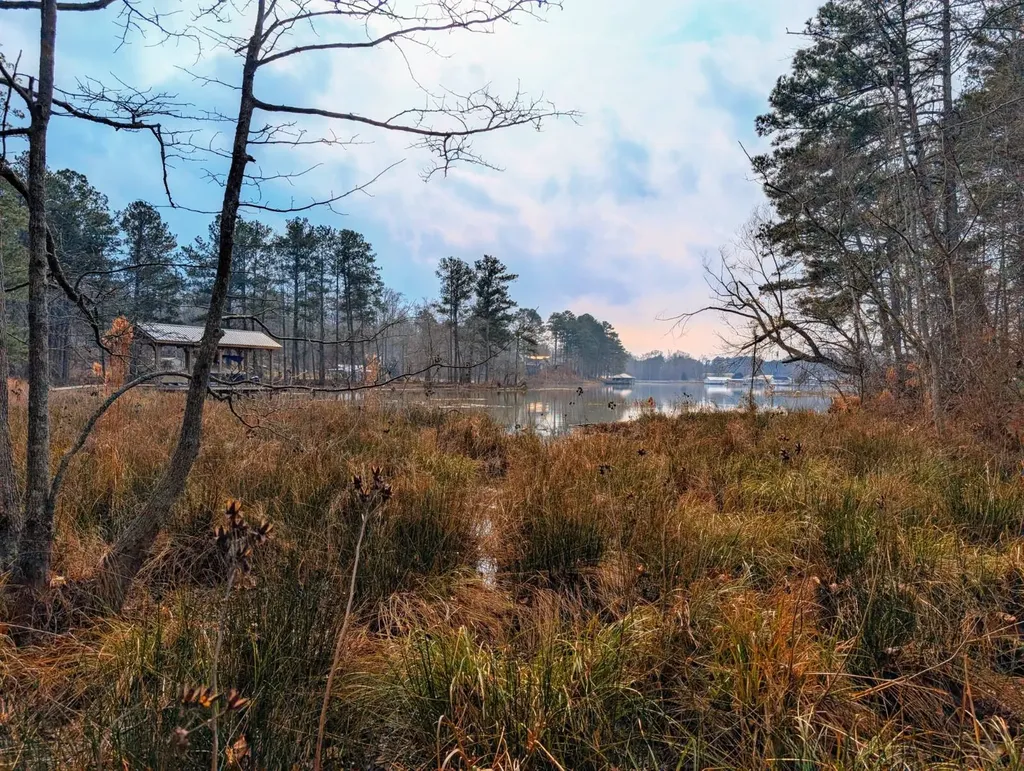 0 Bridgepoint Road Southside AL 35907