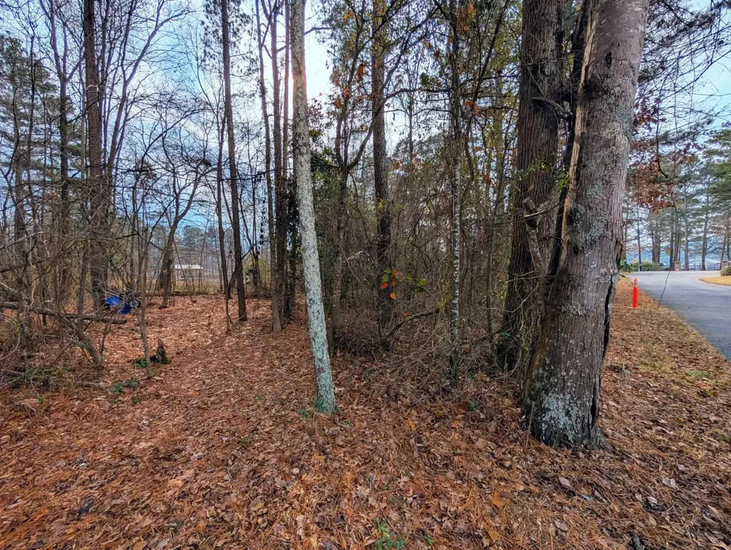 0 Bridgepoint Road Southside AL 35907