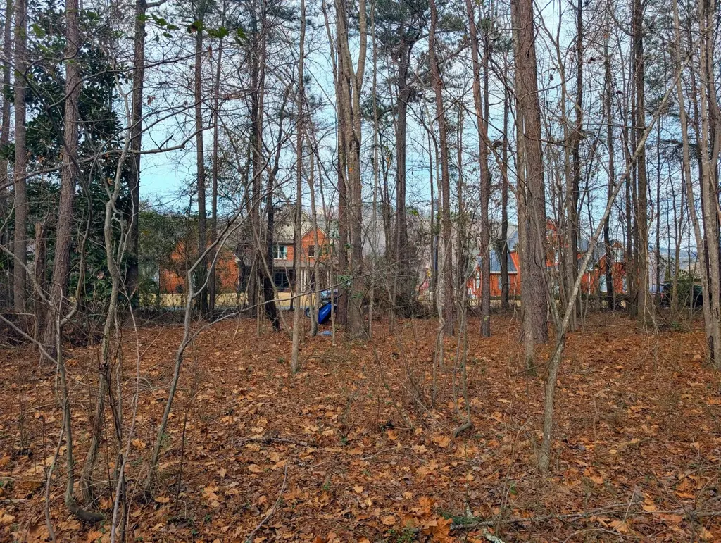 0 Bridgepoint Road Southside AL 35907