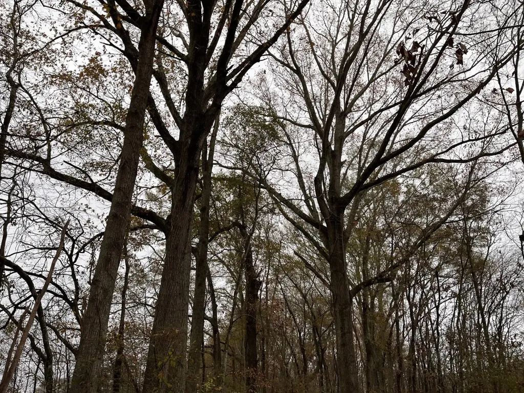 417 37th Street NE Fort Payne AL 35967