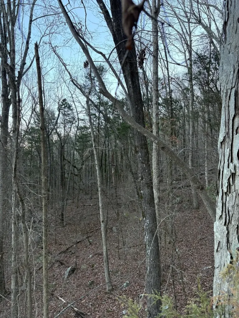 417 37th Street NE Fort Payne AL 35967