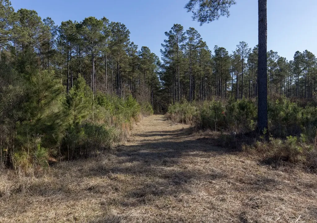 1152 Goodway Road Frisco City AL 36445