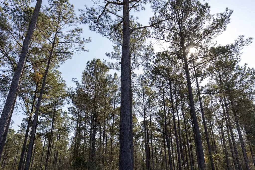 1152 Goodway Road Frisco City AL 36445