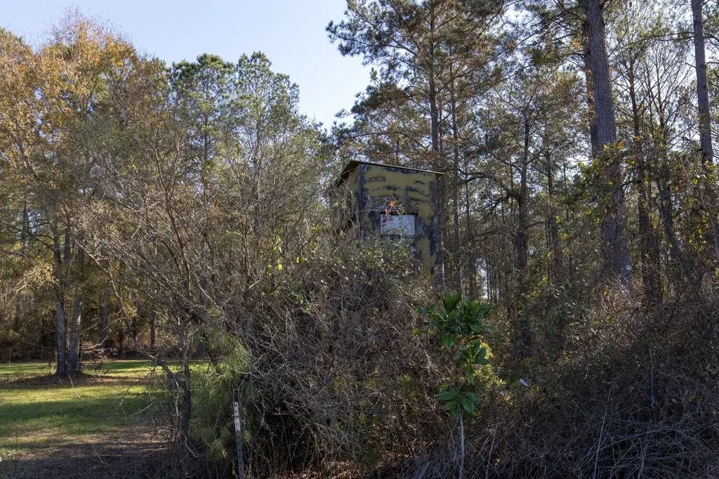 1152 Goodway Road Frisco City AL 36445