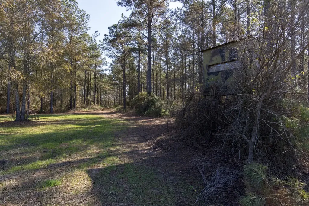 1152 Goodway Road Frisco City AL 36445