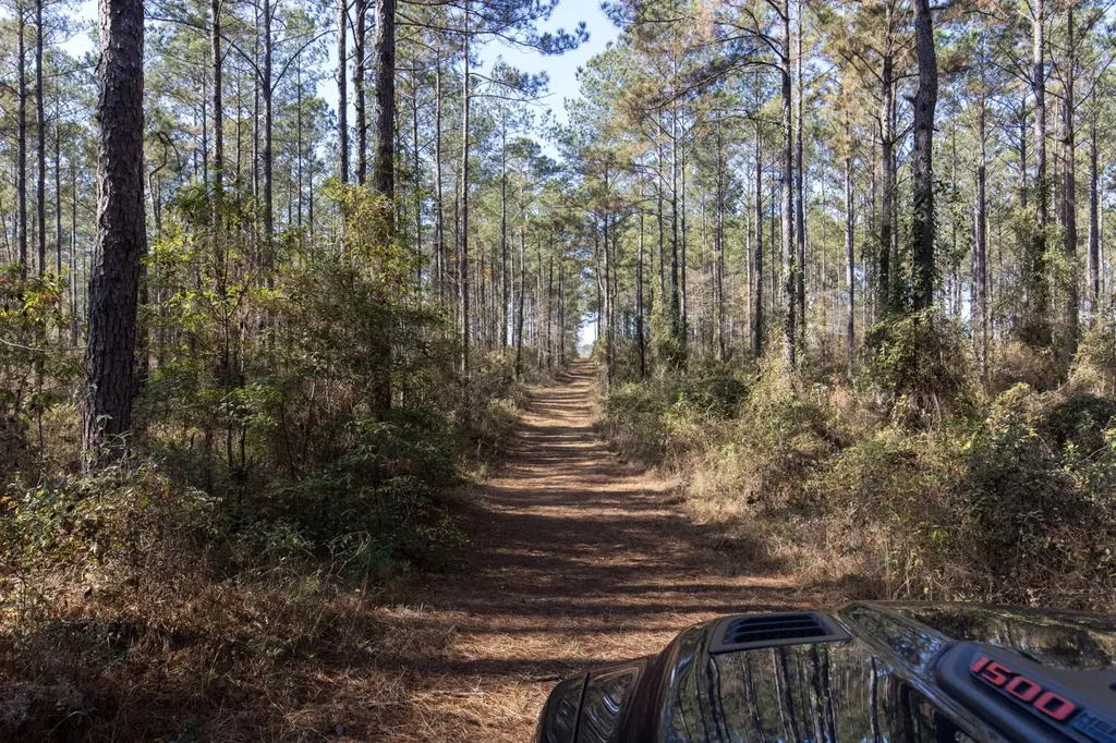 1152 Goodway Road Frisco City AL 36445