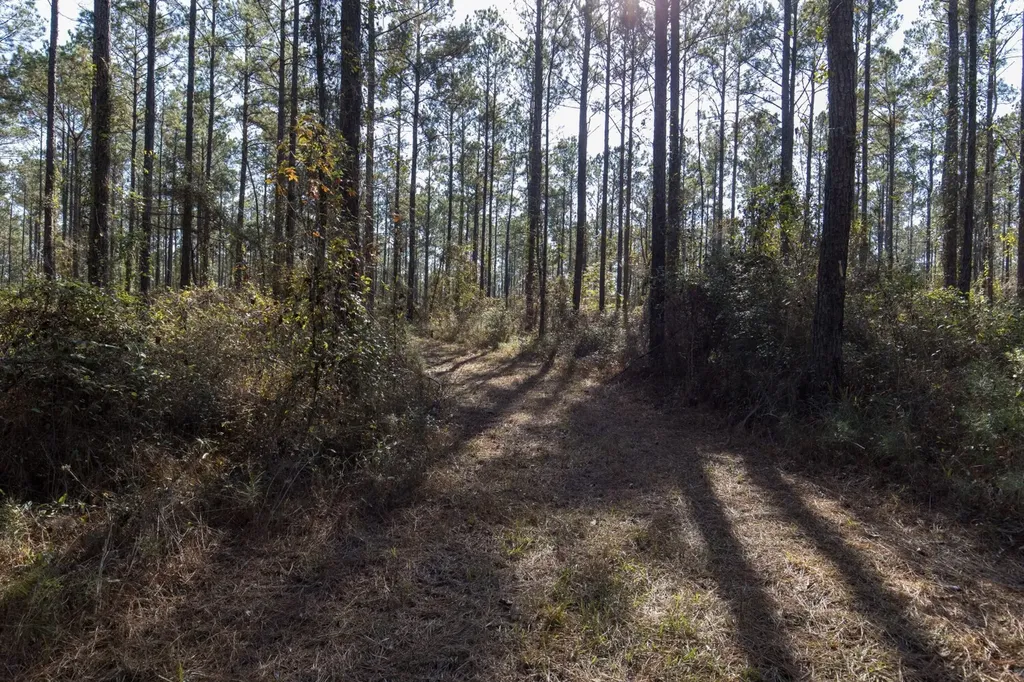 1152 Goodway Road Frisco City AL 36445