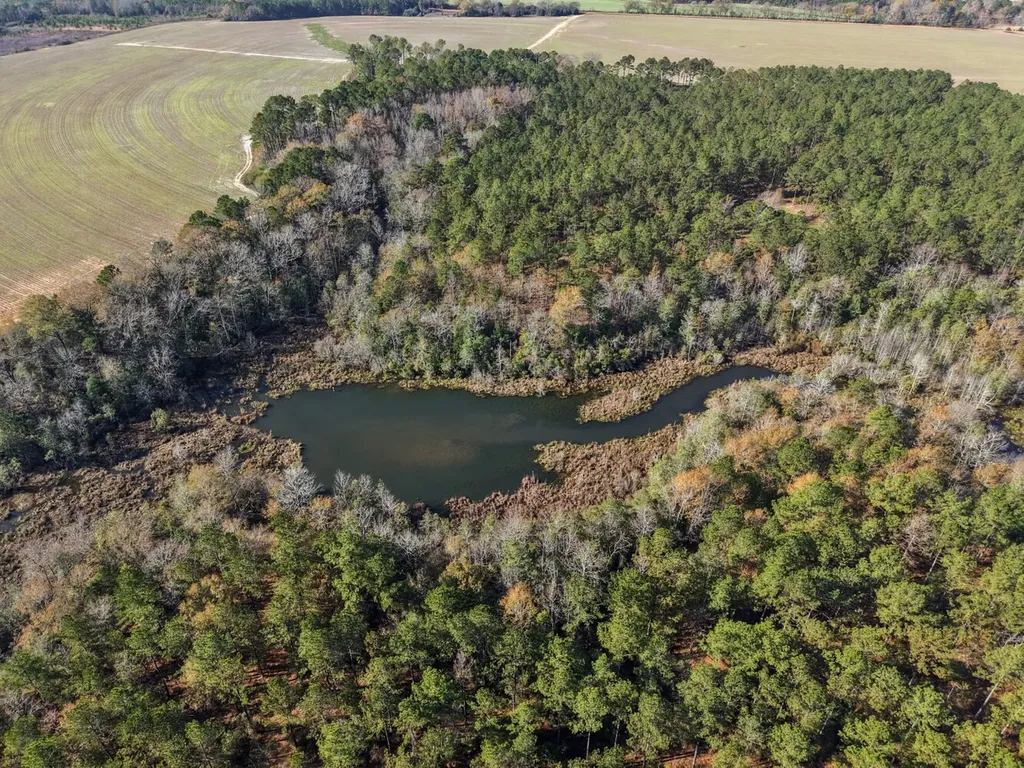 1152 Goodway Road Frisco City AL 36445