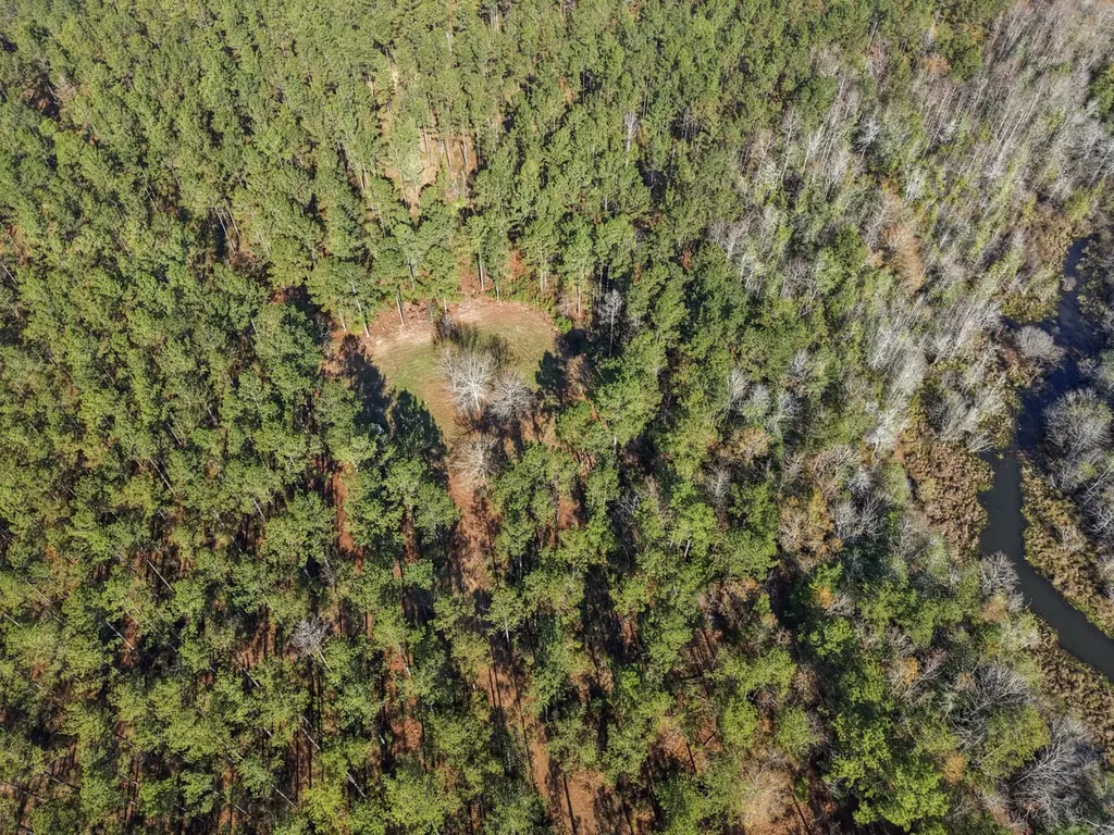 1152 Goodway Road Frisco City AL 36445